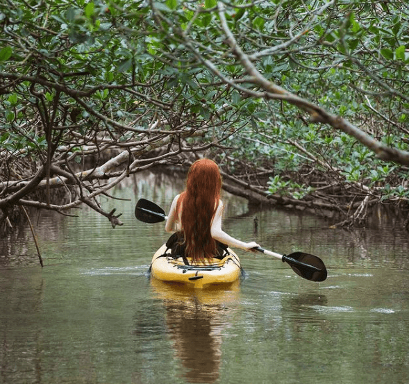 Kayaker in the water on Don Pedro Island 