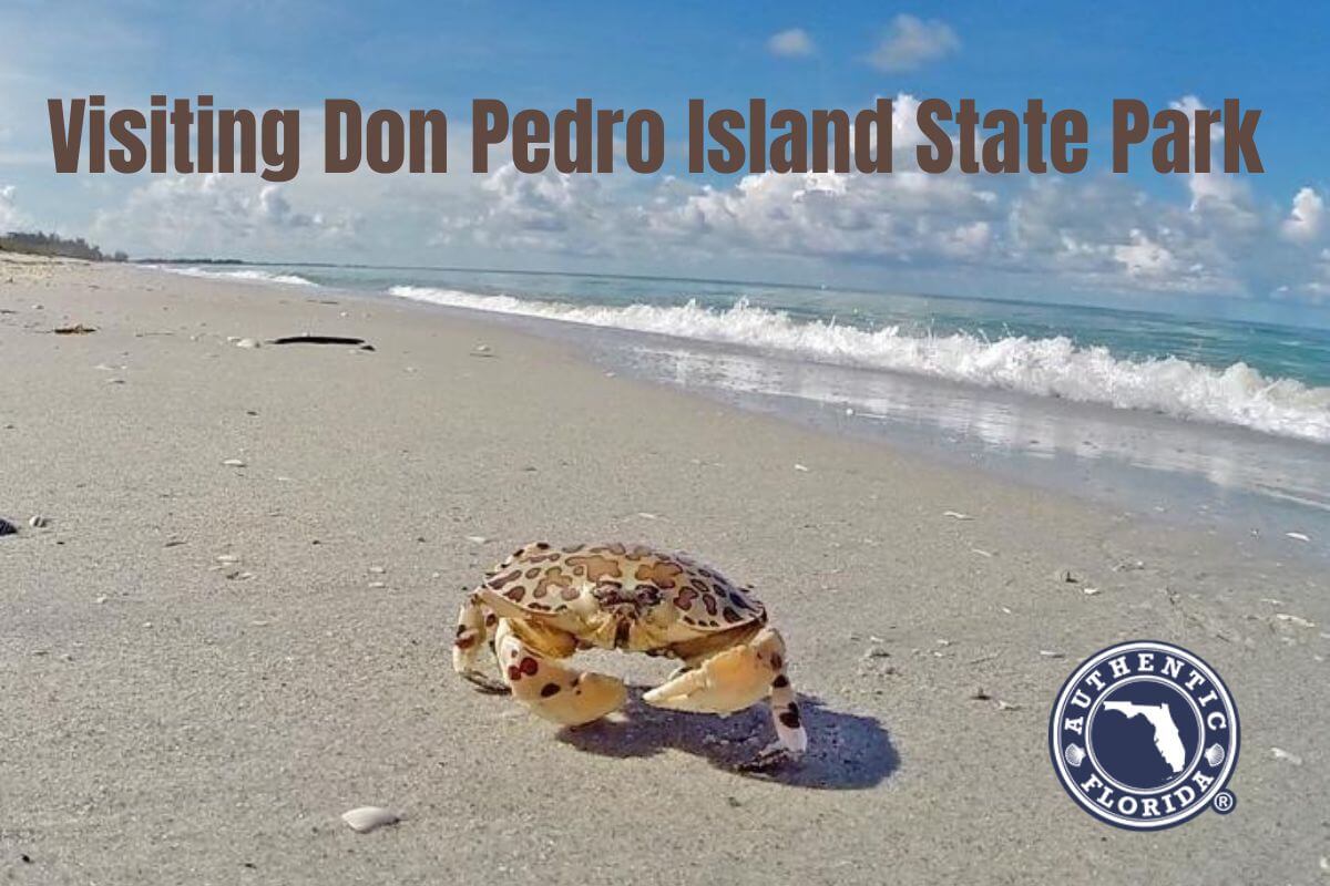 Visiting Don Pedro Island State Park