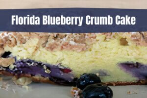 Florida Blueberry Crumb Cake