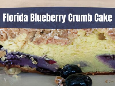 Florida Blueberry Crumb Cake