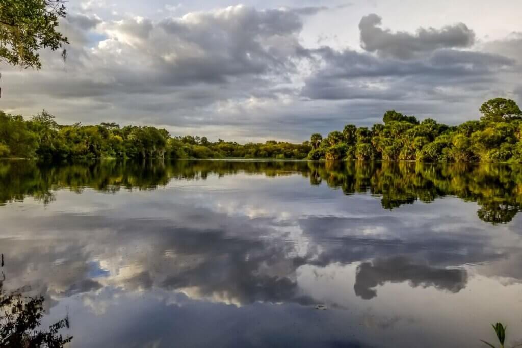 Myakka River with water reflections