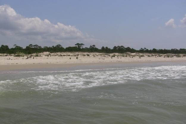 Photo of St. Vincent National Wildlife Refuge shoreline