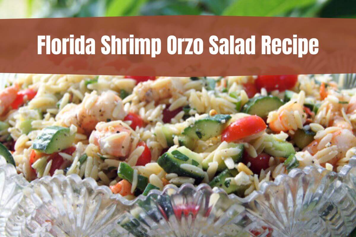 Florida Shrimp Orzo Salad Recipe