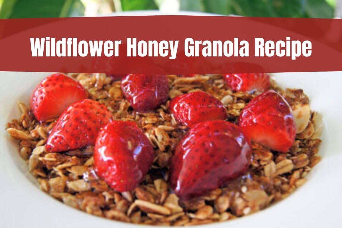 Wildflower Honey Granola Recipe