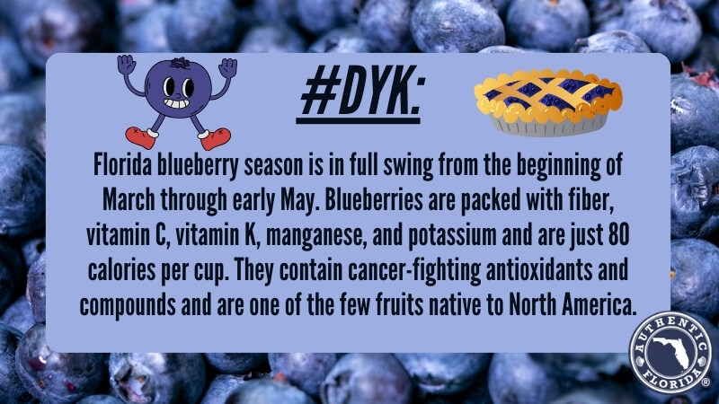 Florida Blueberries #DYK mailchimp