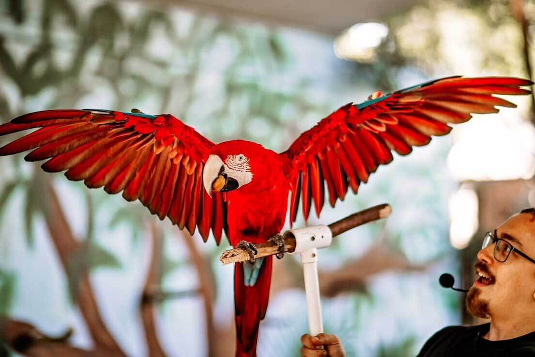 Bird at Sarasota Jungle Gardens
