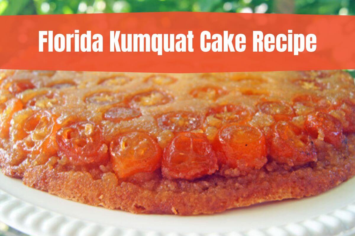 Florida Kumquat Cake Recipe