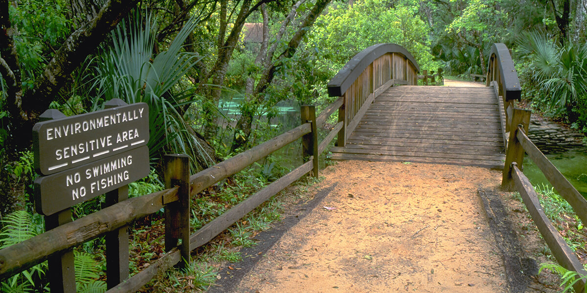 Juniper Springs Nature Trail Walkway with a sign that reads Environmentally Sesitive Area No Swimming No Fishing