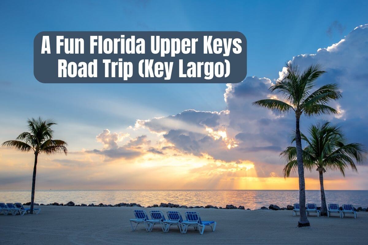 A Fun Florida Upper Keys Road Trip (Key Largo)