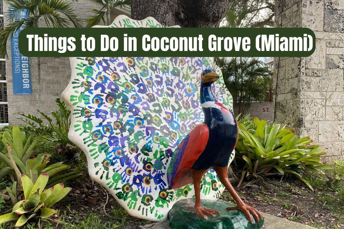 Things to Do in Coconut Grove Miami