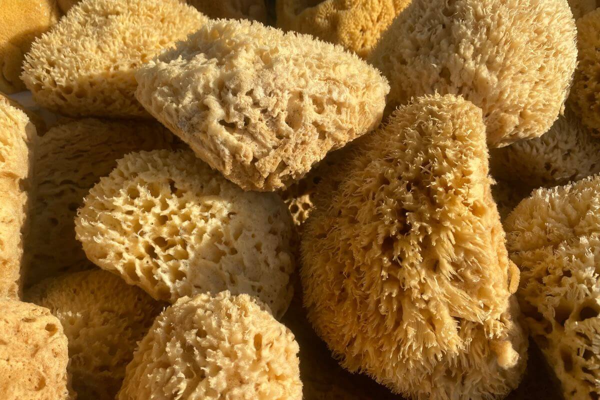 Tarpon Springs sponges for sale on the street