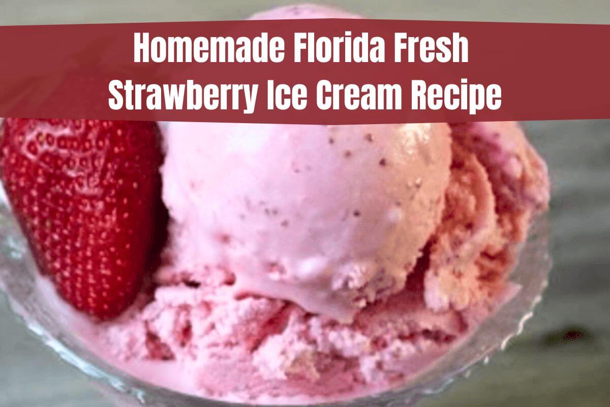 Homemade Florida Fresh Strawberry Ice Cream Recipe