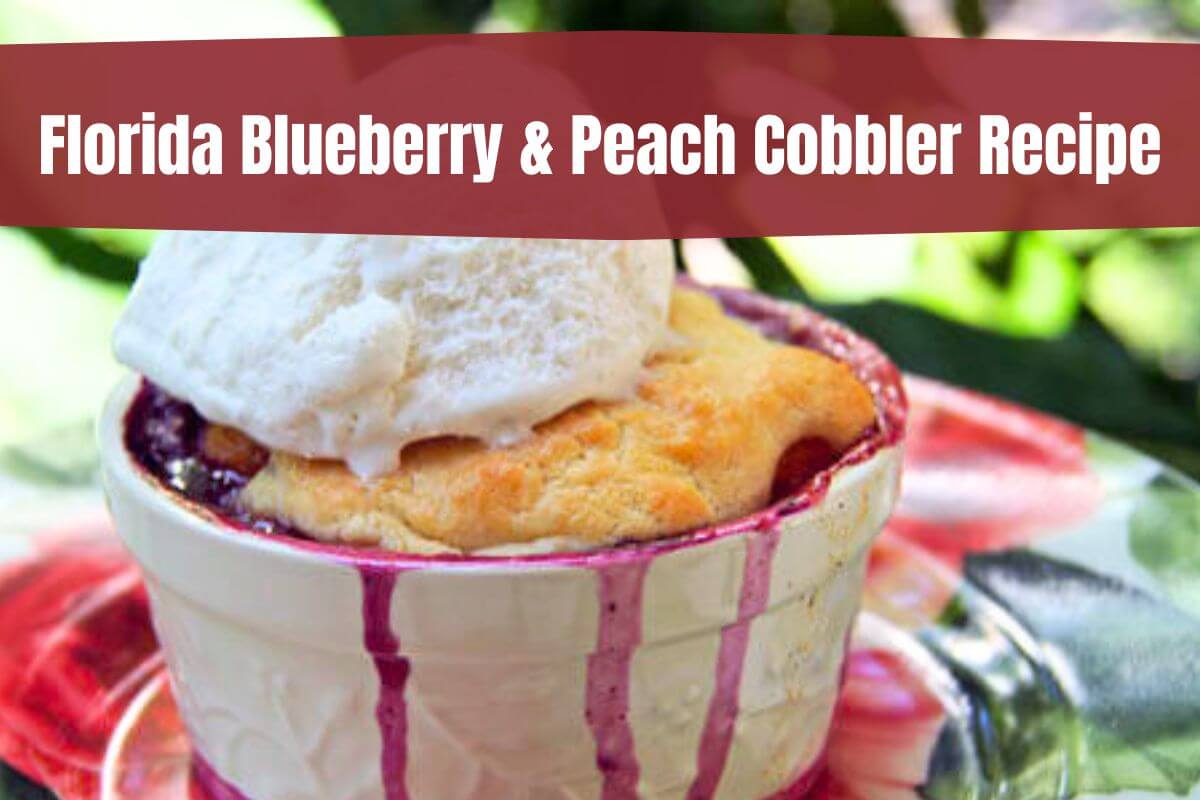 Florida Blueberry and Peach Cobbler Recipe