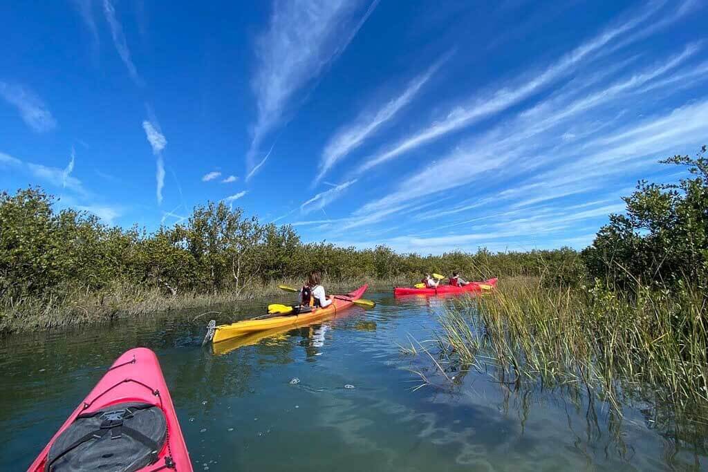 Kayakers with Ripple Effect Ecotours.