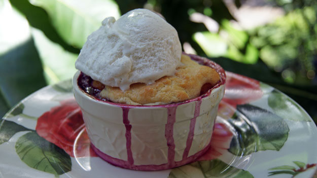 Photo of Florida Blueberry and Peach Cobbler