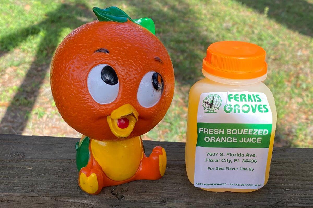 Orange Bird with Ferris Groves orange juice