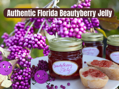 Time to Make Authentic Florida Beautyberry Jelly