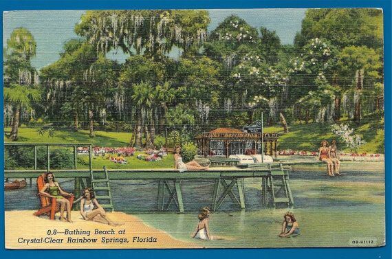 Rainbow Springs vintage postcard