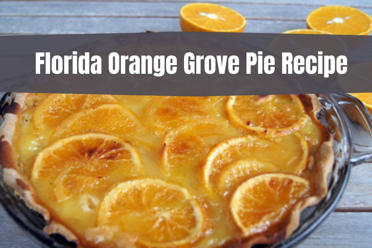 Florida Orange Grove Pie Recipe