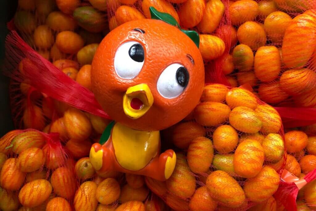 Dade City Kumquat Festival Florida Orange Bird with kumquats