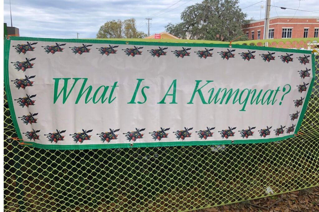 What is a kumquat sign at Dade City Kumquat Festival
