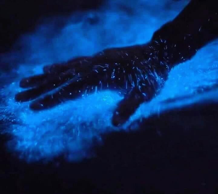 hand in bioluminescent lights in the water 