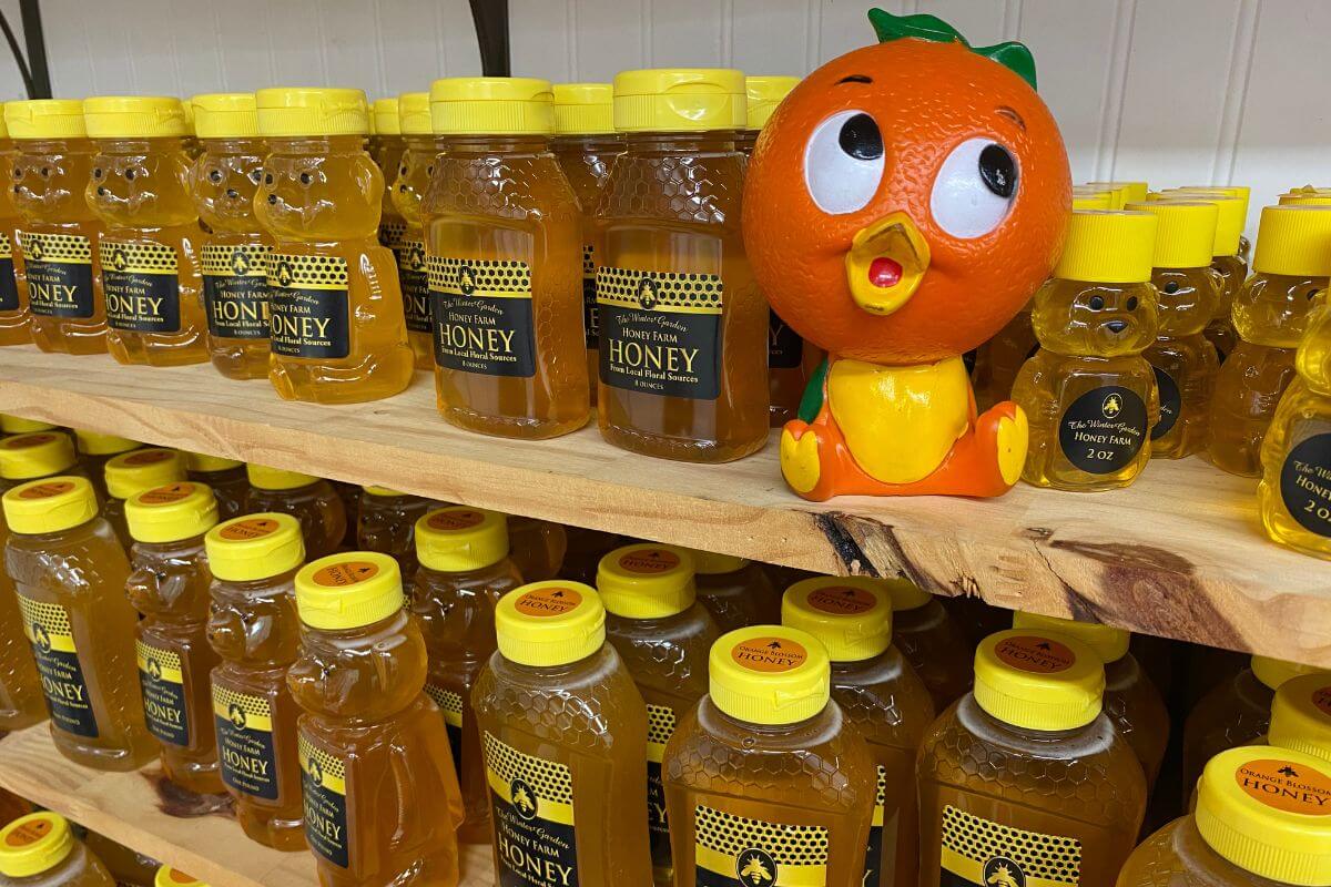 Winter Garden Honey Taste Testing with Florida Orange Bird