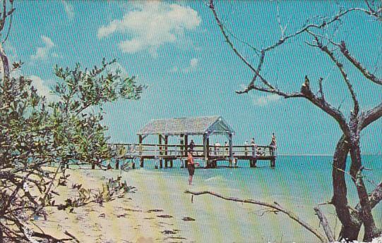 Sanibel old fishing pier postcard