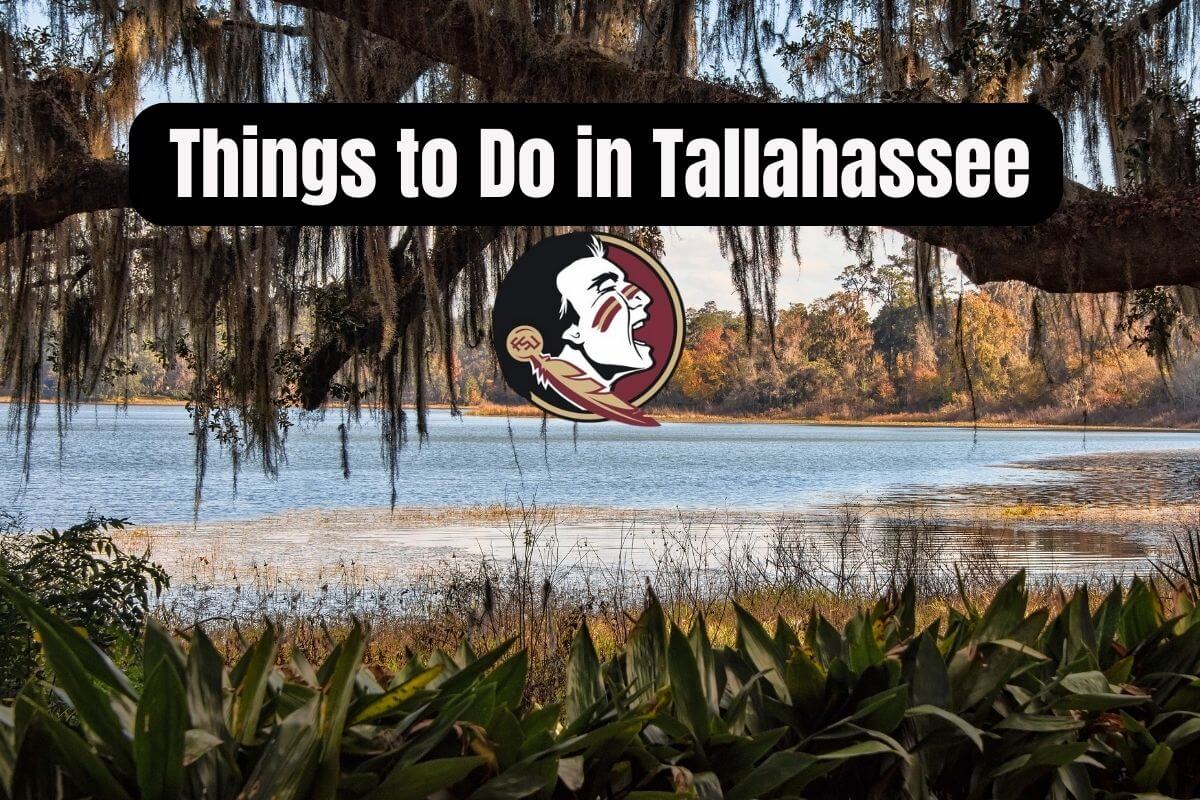 Things to Do in Tallahassee