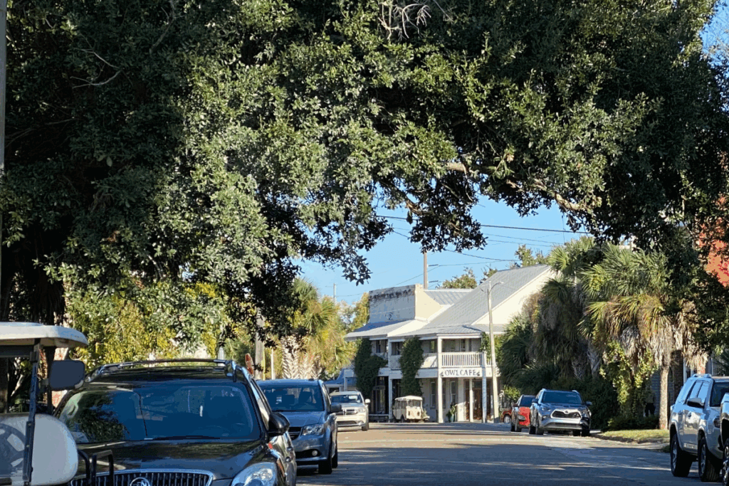 Street in Apalachicola