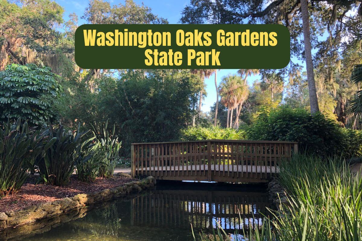 Washington Oaks Gardens State Park featured image