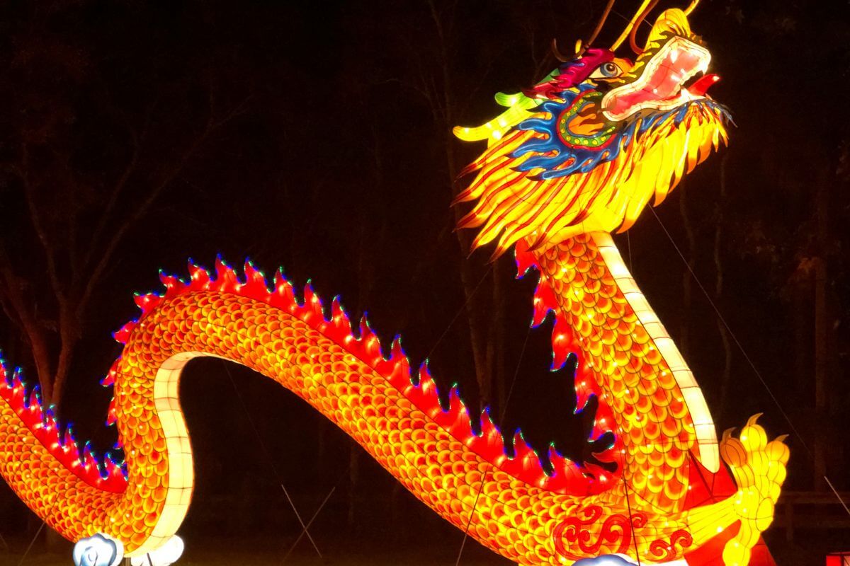 Dragon Lantern at Central Florida Zoo Asian Fest