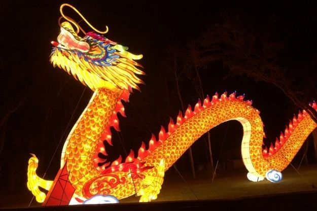 Dragon lantern. 