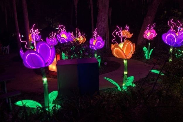 Photo of flower lanterns