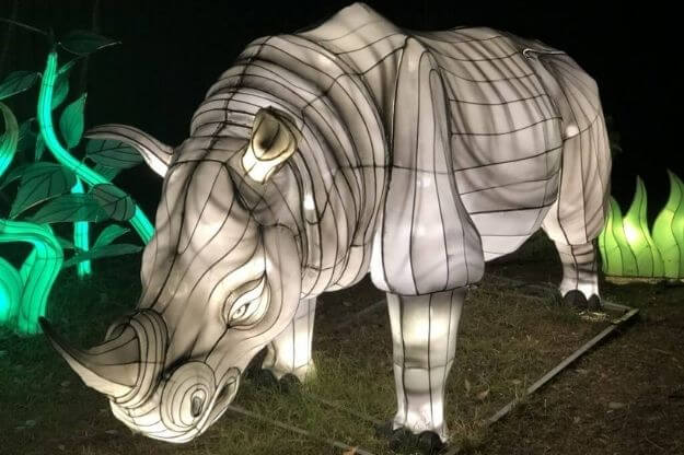 Photo of a rhino lantern