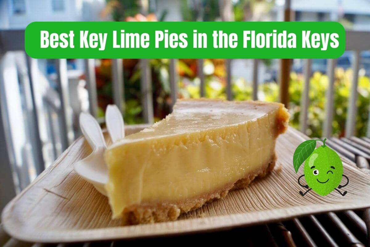 Best Key Lime Pies in the Florida Keys