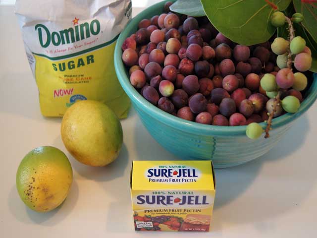 Ingredients for sea grape jelly