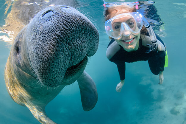 Photo of a girl swimming with a manatee