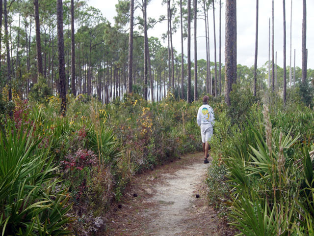 Photo of a person walking on a trail