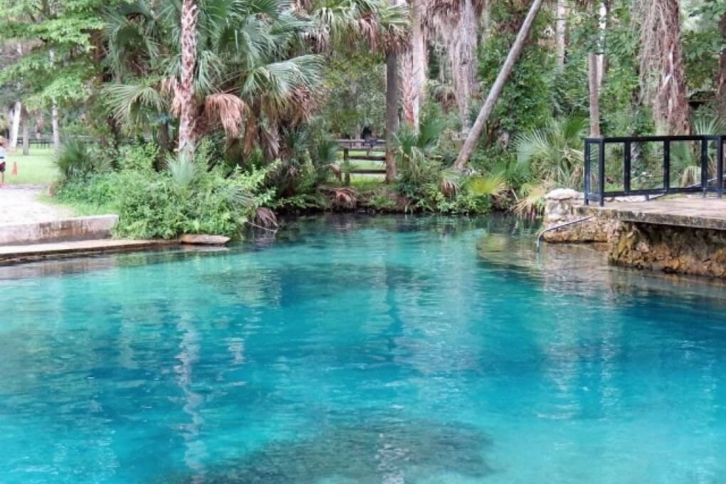 Our 19+ Favorite Freshwater Florida Springs in 2024 • Authentic