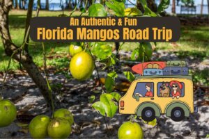 An Authentic & Fun Florida Mangos Road Trip