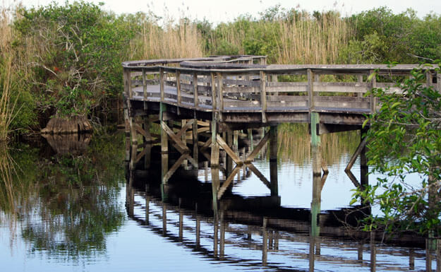 Photo of the Anhinga Trail in the Everglades