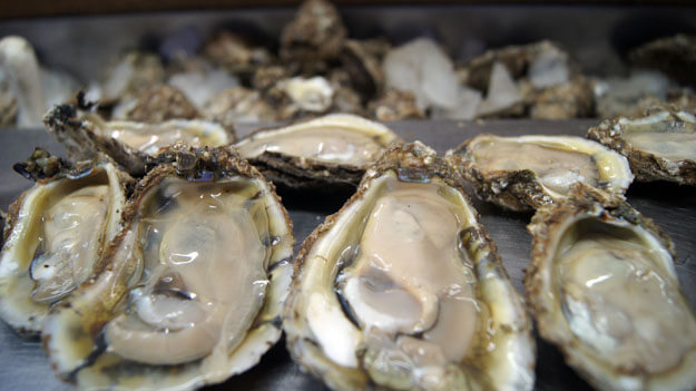 Photo of Apalachicola Oysters
