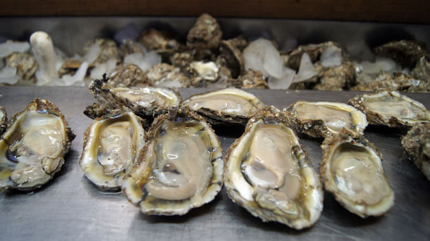Apalachicola Oysters