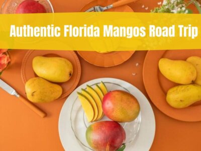 An Authentic Florida Mangos Road Trip – 2024