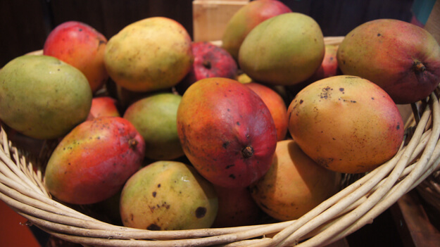 Basket of mangos