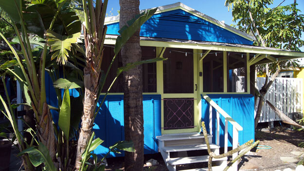 Photo of Siesta Key Beach Palms