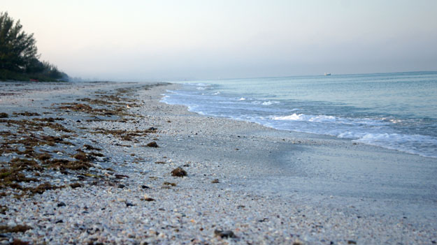 Photo of Pensacola Beach coast