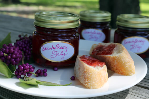Photo of beautyberry jelly next to bread