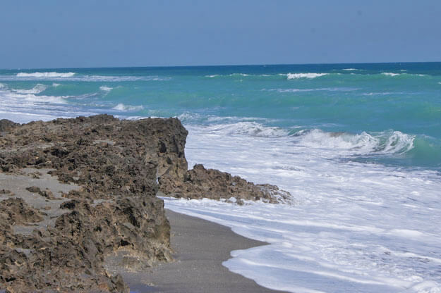 Blowing Rocks Beach, The Nature Conservancy in Florida